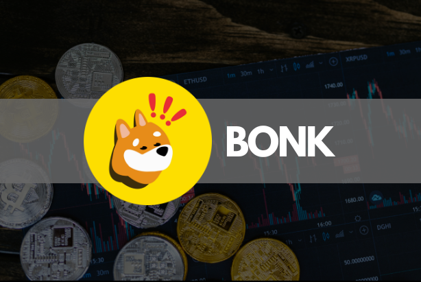 bonk coin